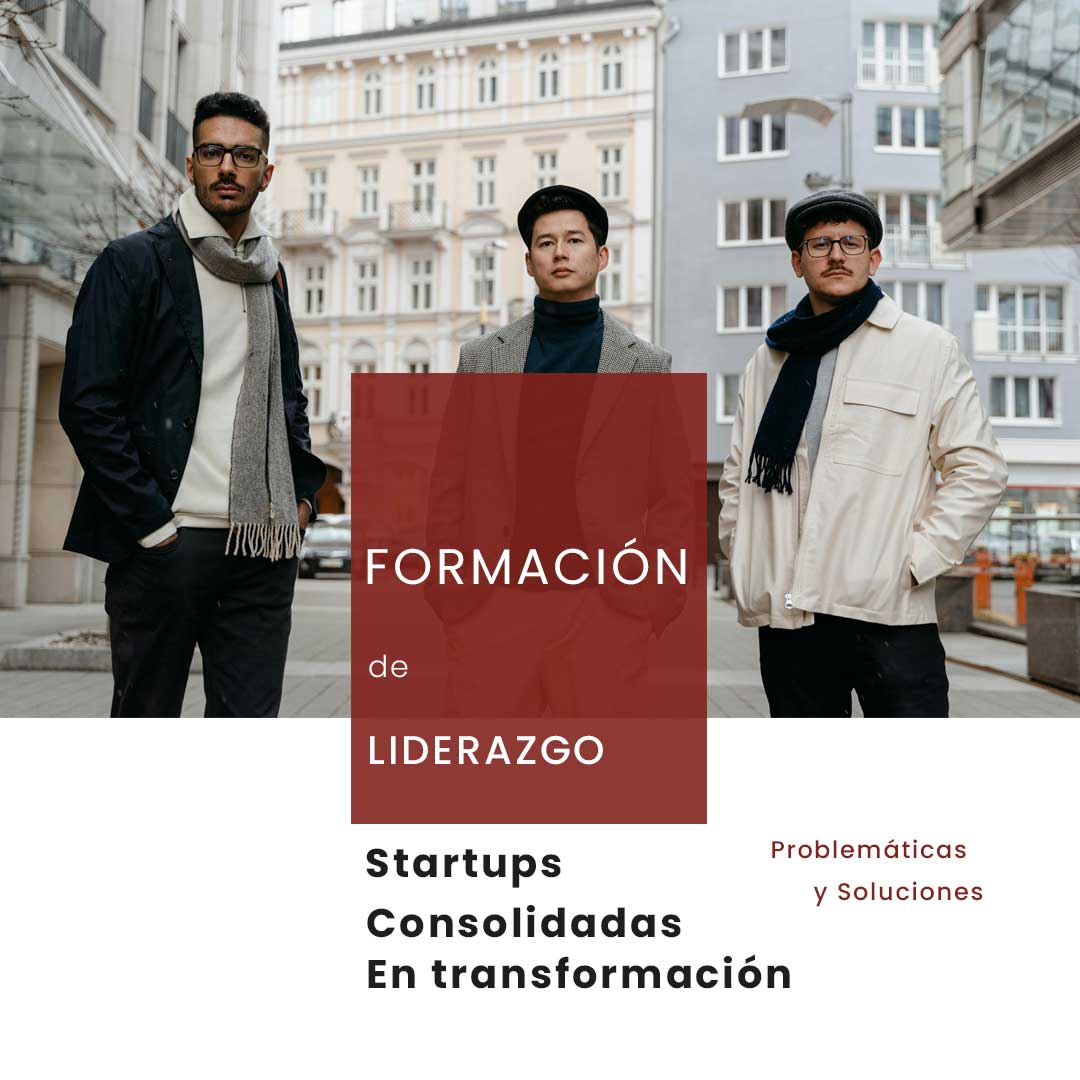 Formación en Liderazgo para Desarrollo de Software, programa de formación de líderes